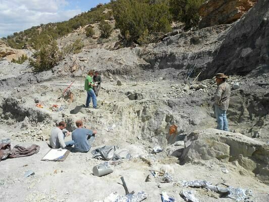 A view of operations at the Salt & Pepper quarry near the time this tooth was found.